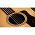 Academy 10e LTD Figured Koa/Spruce + Housse Taylor