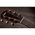 Academy 10e LTD Figured Koa/Spruce + Housse Taylor