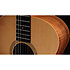 Academy 12e-N LTD Figured Koa/Spruce + Housse Taylor