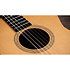 Academy 12e-N LTD Figured Koa/Spruce + Housse Taylor