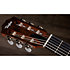 Academy 12e-N LTD Figured Koa/Spruce + Housse Taylor