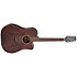 GD21CE SM Dreadnought Satin Molasses Takamine