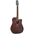 GD21CE SM Dreadnought Satin Molasses Takamine