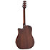 GD21CE SM Dreadnought Satin Molasses Takamine