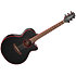 GF49CE FX Cutaway Cosmic Black Sparkle Takamine