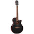 GF49CE FX Cutaway Cosmic Black Sparkle Takamine