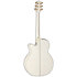GN37CE PW NEX Cutaway Pearl White Takamine