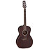 GY21E-SM New Yorker Satin Molasses Takamine