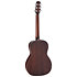 GY21E-SM New Yorker Satin Molasses Takamine