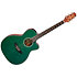 LTD2025 Antique Evergreen Takamine