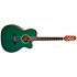 LTD2025 Antique Evergreen Takamine