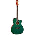LTD2025 Antique Evergreen Takamine