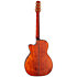 LTD2025 Antique Evergreen Takamine
