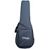 LTD2025 Antique Evergreen Takamine