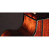 LTD2025 Antique Evergreen Takamine