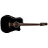 EF381DX Dreadnought Black Takamine