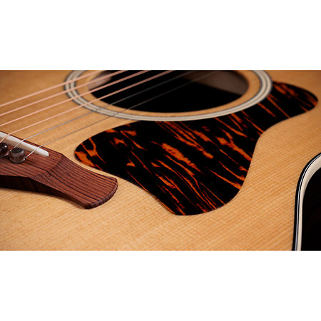 Gold Label 717e + Etui Taylor