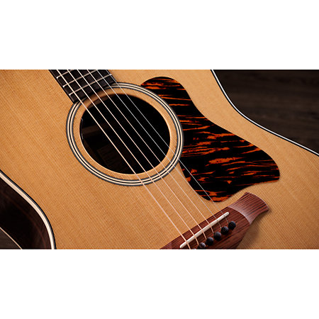 Gold Label 717e + Etui Taylor