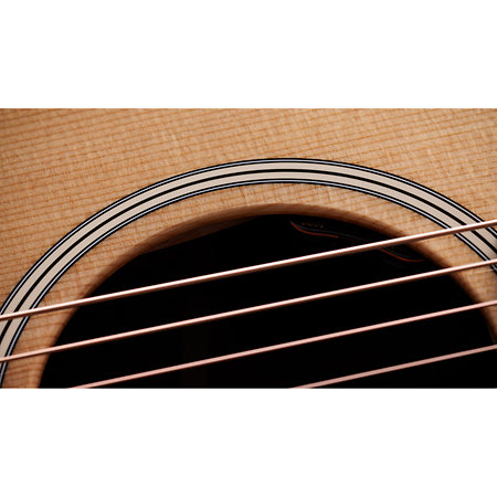 Gold Label 717e + Etui Taylor