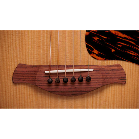 Gold Label 717e + Etui Taylor