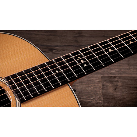 Gold Label 717e + Etui Taylor