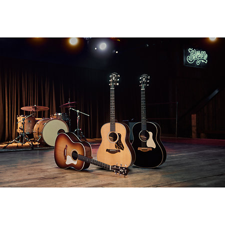 Gold Label 717e + Etui Taylor