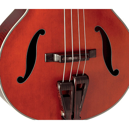 DB10 Takamine