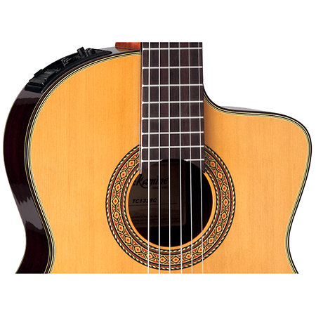 EC132SC Japan Natural Takamine