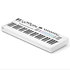 Launchkey 49 MK4 White + Komplete 15 Ultimate upgrade Novation