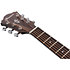 AE100-BUF Burgundy Flat Ibanez