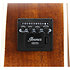 AE100-BUF Burgundy Flat Ibanez