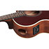 AE100-BUF Burgundy Flat Ibanez