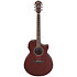 AE100-BUF Burgundy Flat Ibanez