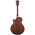 AE100-BUF Burgundy Flat Ibanez
