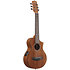 EWP12EWB-OPN Open Pore Natural + Housse Ibanez