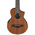 EWP12EWB-OPN Open Pore Natural + Housse Ibanez