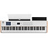KeyLab MK3 88 White + Komplete 15 Ultimate upgrade Arturia