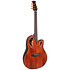 CE44P FKOA G Guitar Celebrity Elite Plus Mid Cutaway Figured Koa Ovation