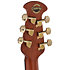 CE44P FLE G Guitar Celebrity Elite Plus Mid Cutaway Sunburst Édition limitée Ovation