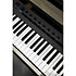 KeyStage 49 + Komplete 15 Standard Upgrade Korg