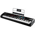 Hammer 88 Pro + Komplete 15 Standard Upgrade M AUDIO