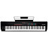 Hammer 88 Pro + Komplete 15 Standard Upgrade M AUDIO