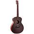 GS Mini-e Special Edition Trans Black Taylor