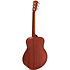 GS Mini-e Special Edition Trans Black Taylor