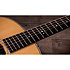 Gold Label 717e + Etui Taylor