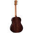Gold Label 717e + Etui Taylor