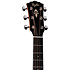 Gold Label 717e + Etui Taylor