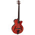 DB10 Takamine