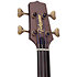 DB10 Takamine