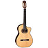 DH90 Hirade Japan Natural Takamine